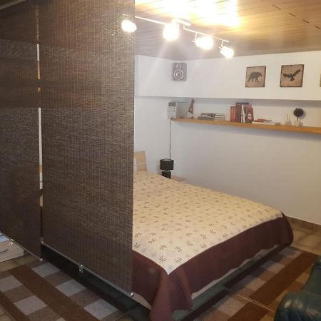 Gemuetliche Ferienwohnung Mit Kamin Und Sauna! Nistertal Zewnętrze zdjęcie