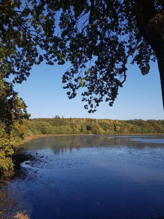 Gemuetliche Ferienwohnung Mit Kamin Und Sauna! Nistertal Zewnętrze zdjęcie