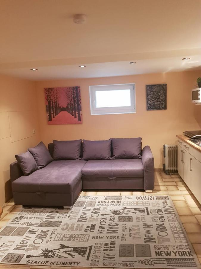 Gemuetliche Ferienwohnung Mit Kamin Und Sauna! Nistertal Zewnętrze zdjęcie